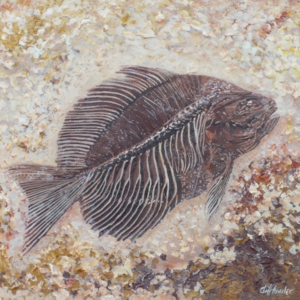 Fossilised fish 3792 10in x 10in small